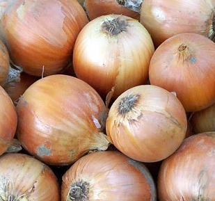 Copra Onion